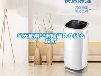 企業新聞冬天使用空調除濕存在什么缺陷