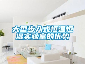 知識百科大型步入式恒溫恒濕實驗室的優勢