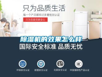 企業新聞除濕機的效果怎么樣