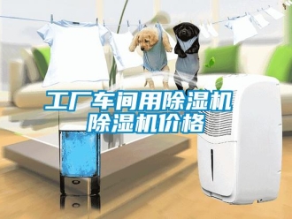 企業(yè)新聞工廠車間用除濕機(jī) 除濕機(jī)價格