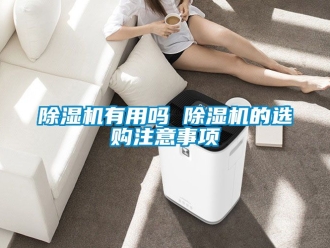 行業(yè)新聞除濕機(jī)有用嗎 除濕機(jī)的選購注意事項