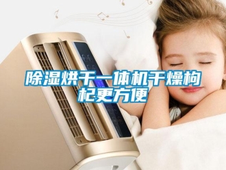 常見問題除濕烘干一體機干燥枸杞更方便