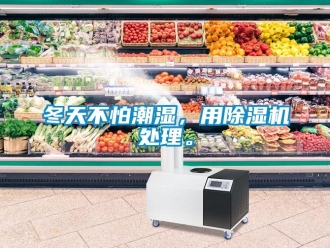 企業新聞冬天不怕潮濕，用除濕機處理。