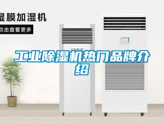 常見問題工業(yè)除濕機(jī)熱門品牌介紹