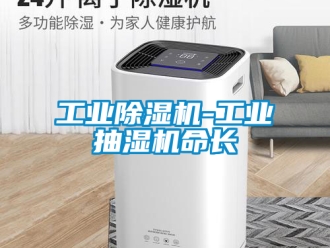 常見問題工業(yè)除濕機-工業(yè)抽濕機命長