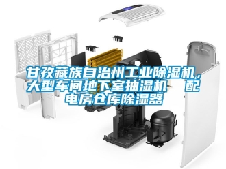 常見問題甘孜藏族自治州工業(yè)除濕機(jī)，大型車間地下室抽濕機(jī)  配電房倉庫除濕器
