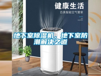 行業(yè)新聞地下室除濕機，地下室防潮解決之道