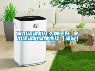 企業(yè)新聞家用除濕機(jī)什么牌子好 家用除濕機(jī)品牌選擇【詳解】