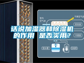 行業(yè)新聞話說加濕器和除濕機(jī)的作用 是否實(shí)用？