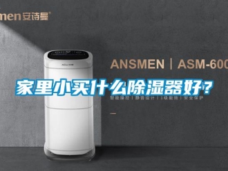 行業(yè)新聞家里小買什么除濕器好？