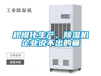 行業新聞規模化生產，除濕機企業說不出的痛