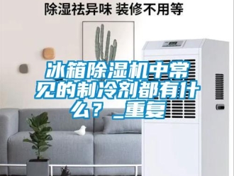企業(yè)新聞冰箱除濕機中常見的制冷劑都有什么？_重復