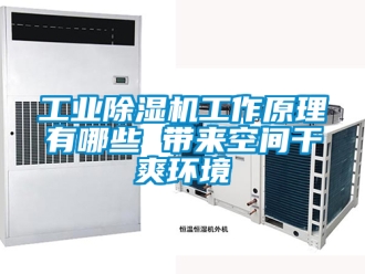常見(jiàn)問(wèn)題工業(yè)除濕機(jī)工作原理有哪些 帶來(lái)空間干爽環(huán)境