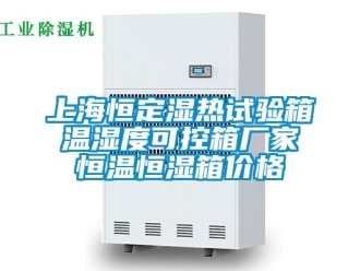 知識百科上海恒定濕熱試驗箱 溫濕度可控箱廠家 恒溫恒濕箱價格