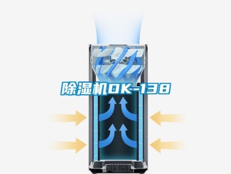 企業新聞除濕機DK-138