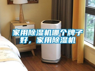 常見問題家用除濕機哪個牌子好，家用除濕機