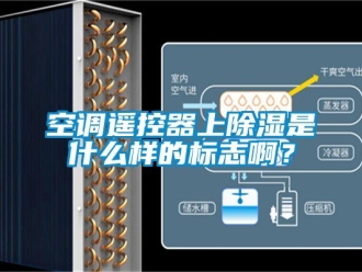 行業(yè)新聞空調(diào)遙控器上除濕是什么樣的標志啊？