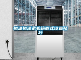 知識百科恒溫恒濕試驗箱程式設置技巧