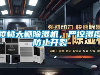 知識百科櫻桃大棚除濕機，嚴控濕度防止開裂