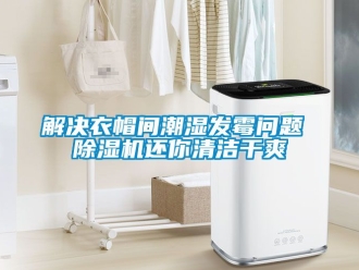 行業新聞解決衣帽間潮濕發霉問題 除濕機還你清潔干爽
