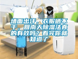 常見問題墻面出汗，衣服曬不干，回南天除濕法真的有效嗎？看完你就知道了