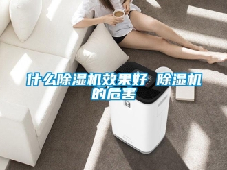 行業新聞什么除濕機效果好 除濕機的危害