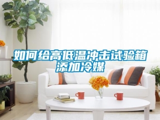 常見(jiàn)問(wèn)題如何給高低溫沖擊試驗(yàn)箱添加冷媒