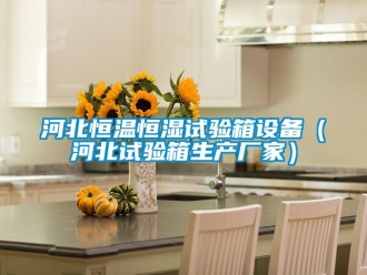 知識百科河北恒溫恒濕試驗(yàn)箱設(shè)備（河北試驗(yàn)箱生產(chǎn)廠家）