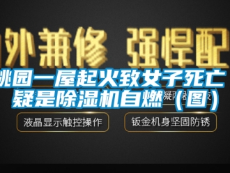 行業新聞桃園一屋起火致女子死亡 疑是除濕機自燃（圖）