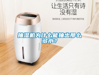 企業(yè)新聞抽濕機為什么能抽出那么多水？