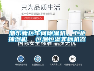 常見問題浦東新區(qū)車間除濕機(jī)，工業(yè)抽濕機(jī)  恒溫恒濕非標(biāo)機(jī)器