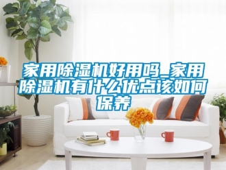 常見問題家用除濕機(jī)好用嗎_家用除濕機(jī)有什么優(yōu)點(diǎn)該如何保養(yǎng)