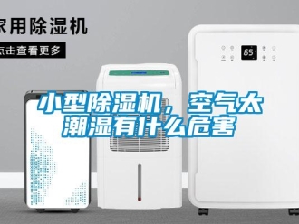 行業(yè)新聞小型除濕機(jī)，空氣太潮濕有什么危害