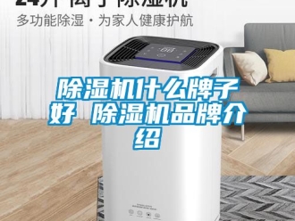 企業(yè)新聞除濕機(jī)什么牌子好 除濕機(jī)品牌介紹