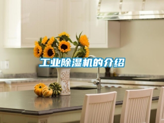 常見問題工業除濕機的介紹