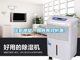 常見(jiàn)問(wèn)題住低樓層，如何有效防潮？