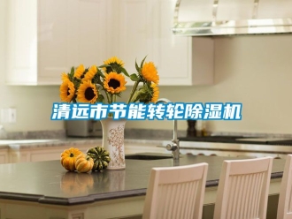 常見問題清遠(yuǎn)市節(jié)能轉(zhuǎn)輪除濕機(jī)
