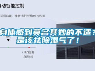 知識百科身體感到莫名其妙的不適？是該祛除濕氣了！