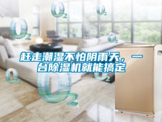 企業(yè)新聞趕走潮濕不怕陰雨天，一臺除濕機就能搞定