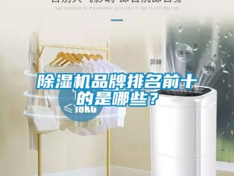 企業新聞除濕機品牌排名前十的是哪些？