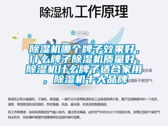 企業(yè)新聞除濕機哪個牌子效果好，什么牌子除濕機質量好，除濕機什么牌子適合家用，除濕機十大品牌