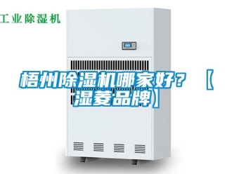 企業(yè)新聞梧州除濕機哪家好？【濕菱品牌】