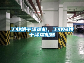 常見問題工業(yè)烘干除濕機，工業(yè)品烘干除濕機器