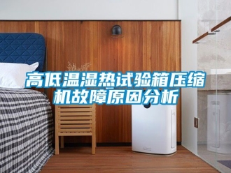 常見問題高低溫濕熱試驗箱壓縮機故障原因分析
