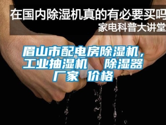 企業新聞眉山市配電房除濕機，工業抽濕機  除濕器廠家 價格