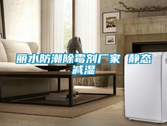 常見問題麗水防潮除霉劑廠家 靜態減濕