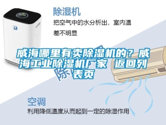 企業新聞威海哪里有賣除濕機的？威海工業除濕機廠家 返回列表頁