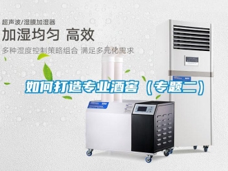 常見問題如何打造專業(yè)酒窖（專題二）