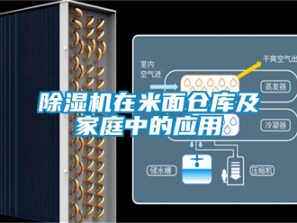 企業(yè)新聞除濕機在米面?zhèn)}庫及家庭中的應(yīng)用