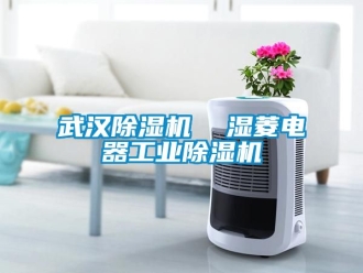 常見問題武漢除濕機(jī)  濕菱電器工業(yè)除濕機(jī)